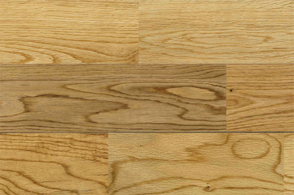 ウッドテクニカラーバイブル(たも、なら、パイン) 3冊-ウッディワールド