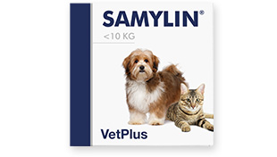 株式会社ワールドエクイップス