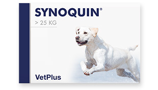 株式会社ワールドエクイップス