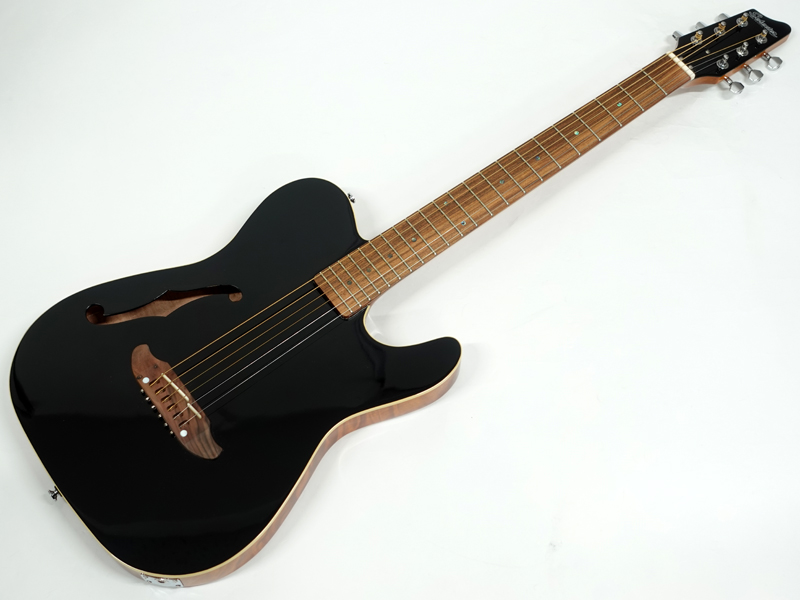 SCHECTER シェクター Oriental Line OL-FL / BLK < Used / 中古品