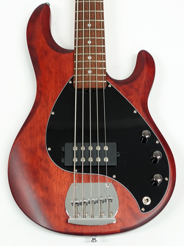 Sterling by Musicman S.U.B RAY5 / Walnut Satin < Used / 中古品