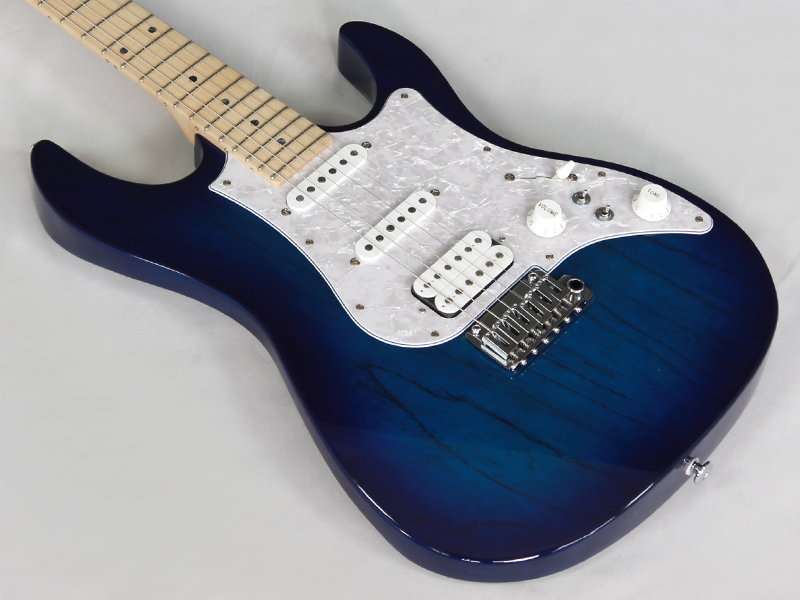 FUJIGEN EOS ASH WB ギター（セミオーダー品） ハードケース付 FUJIGEN