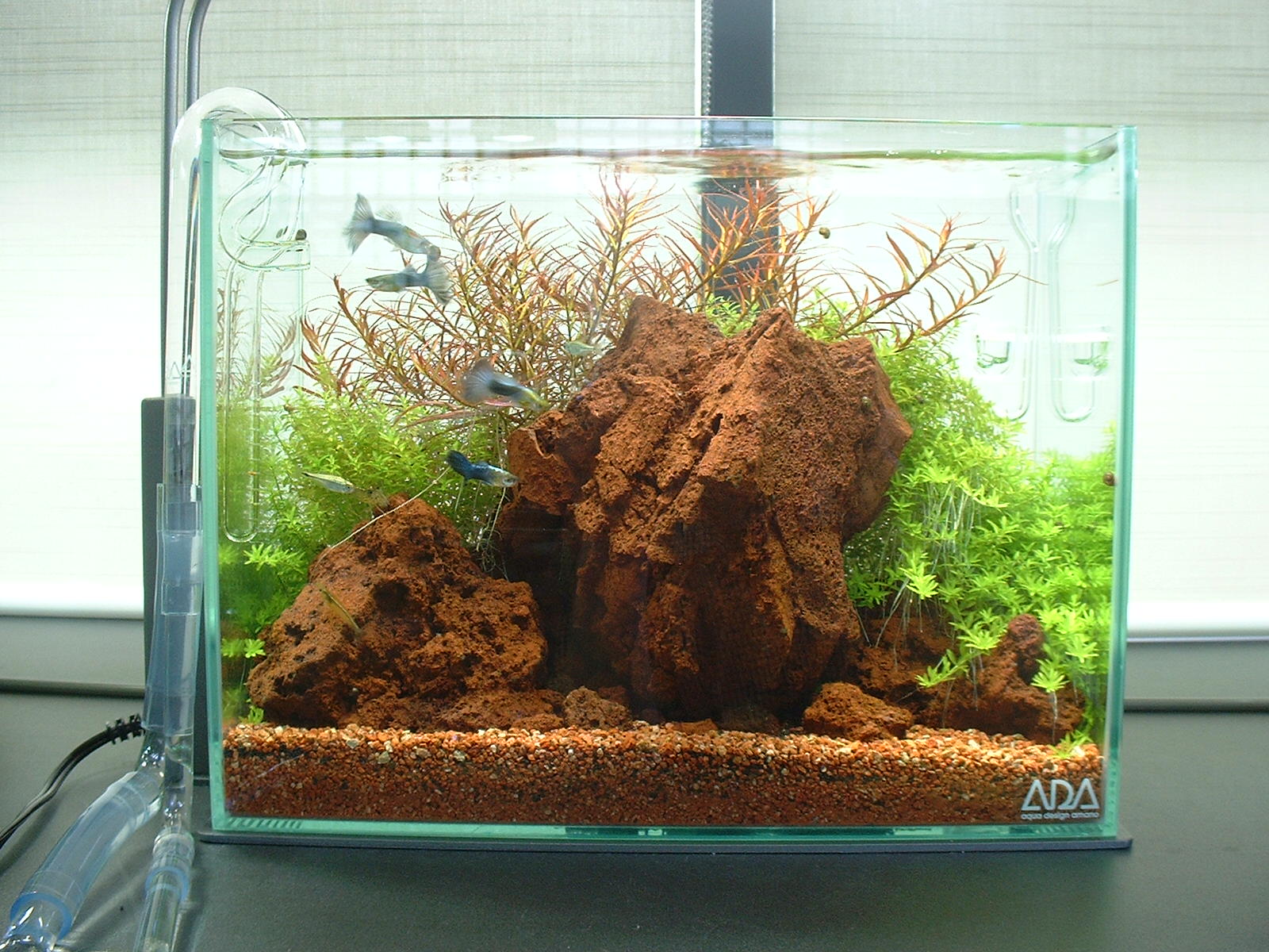 MMW-5602 マシンガンウッドレイアウトセット 60cm水槽用 流木 【公式通販】