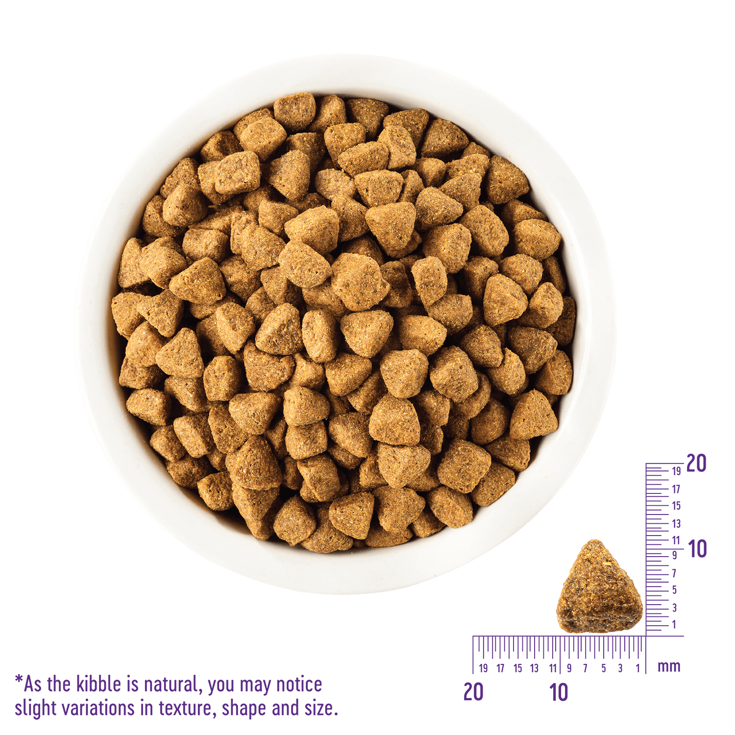 ウェルネスシンプル 全犬種用 体重管理用(1歳以上) サーモン