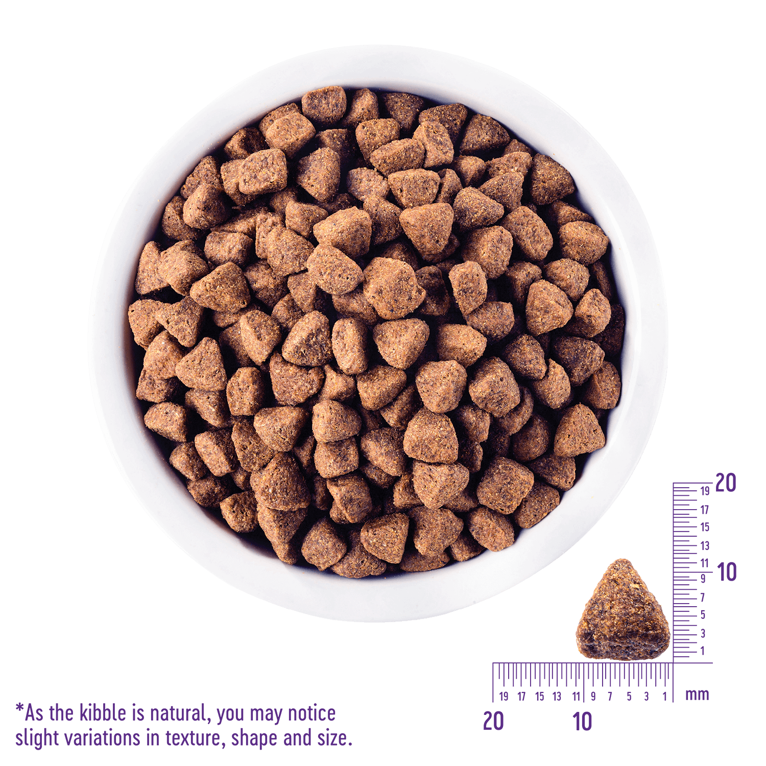 CORE DH DOG CHICKEN | Wellness Pet Food Japan