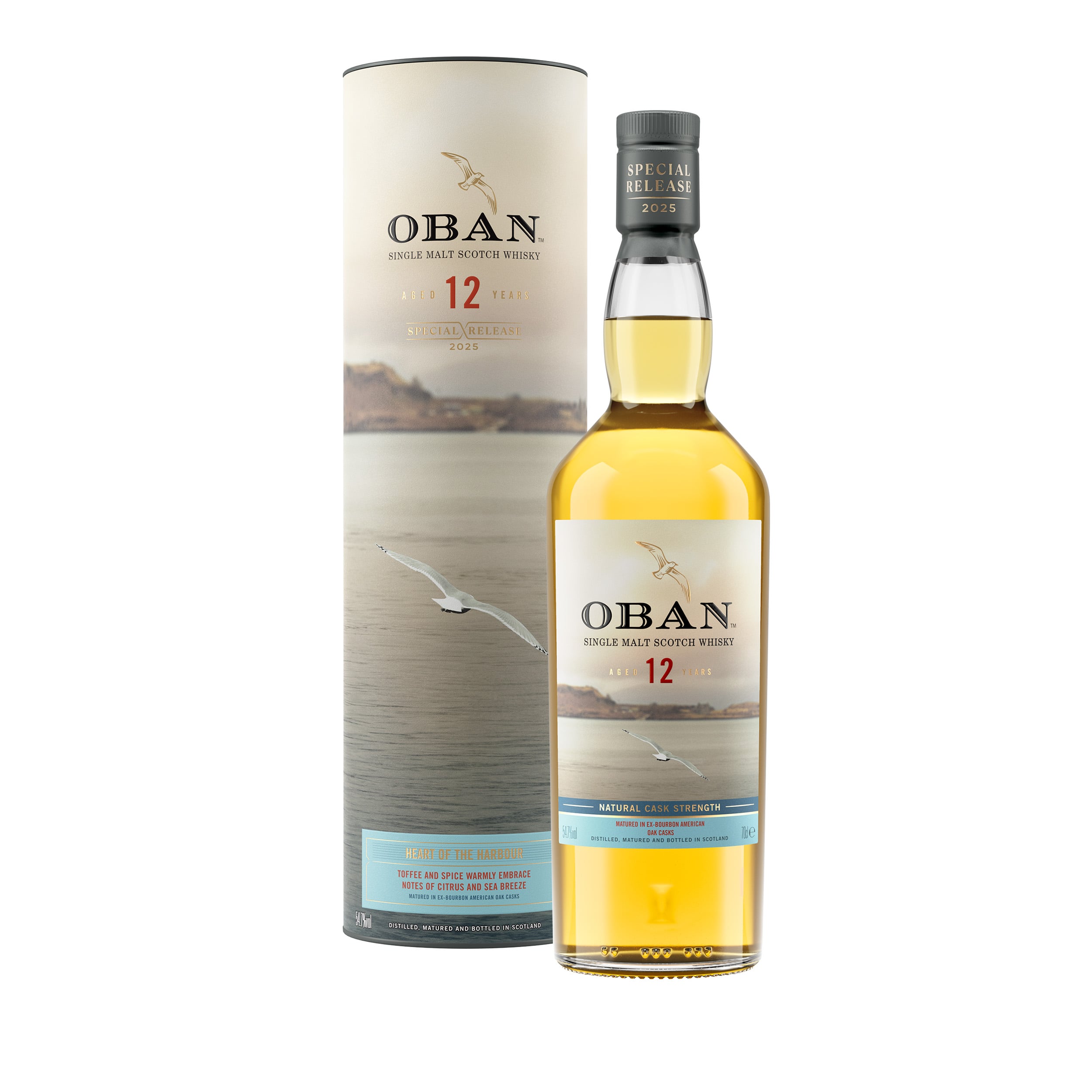 超希少】OBAN 12 Years オーバン12年 特級 オールドボトル Oban 12