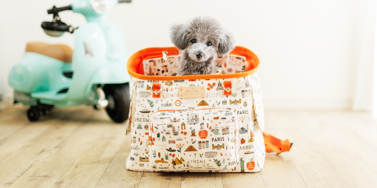 CARRY BAG（キャリーバッグ）／ハッピートリップリュックキャリー