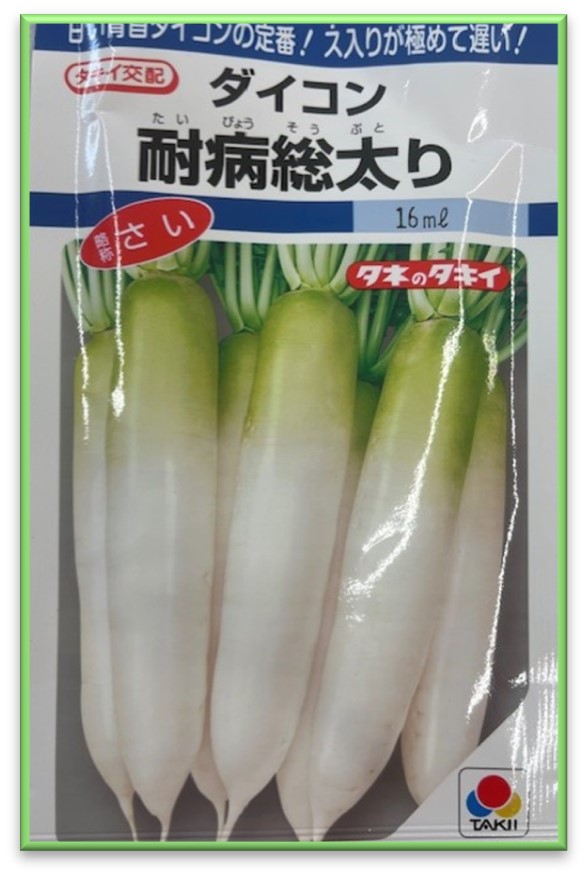 大根の播種シーズン到来、おすすめ品種のご紹介｜トヨタネブログ