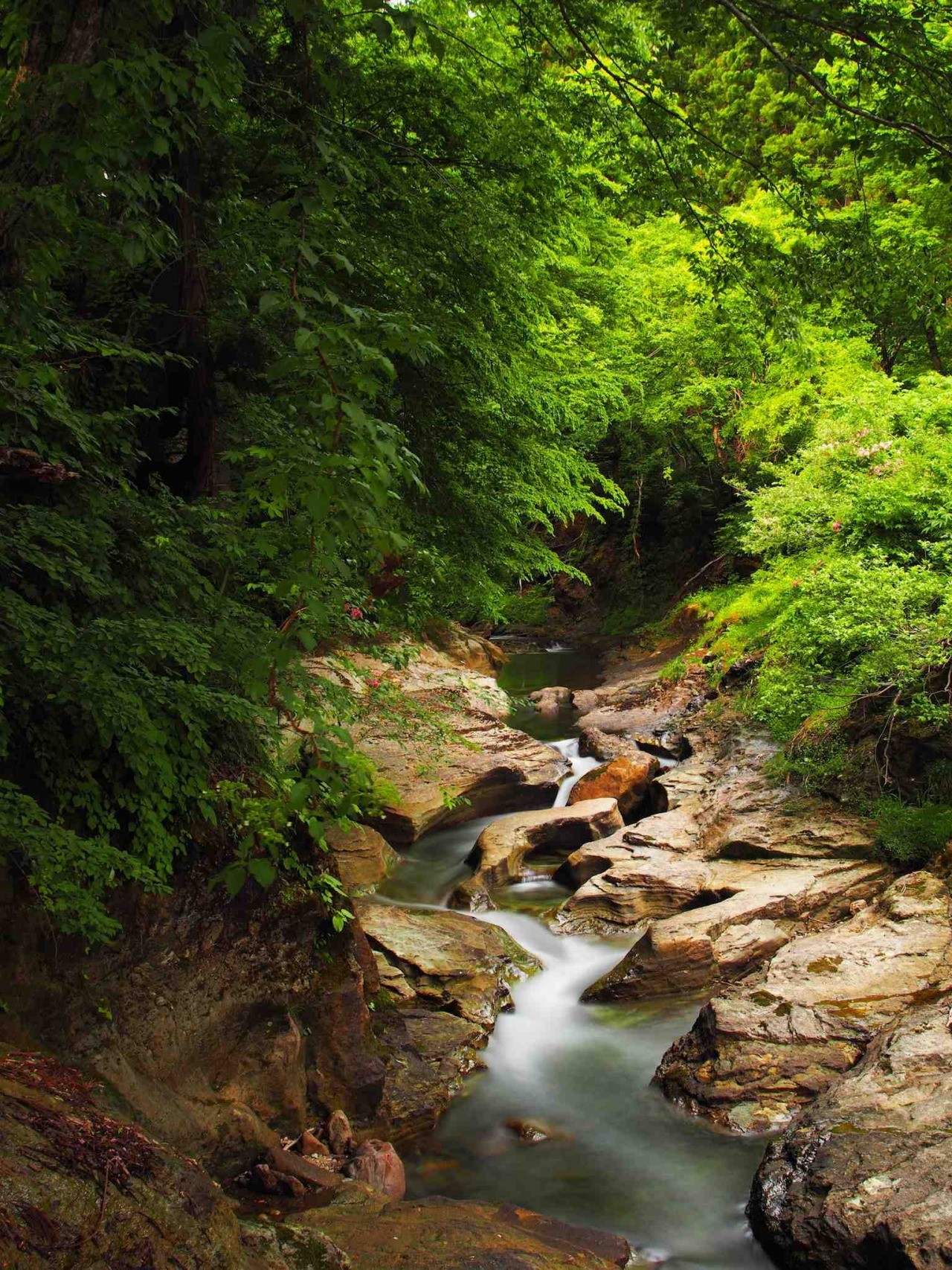 滝沢川おう穴群(金山町)｜東北の観光スポットを探す | 旅東北 - 東北の