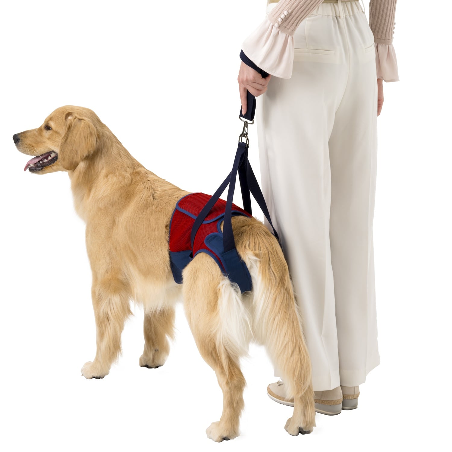 犬歩行補助ハーネス まりあ様 犬 歩行補助ハーネス 介護 歩行補助 介護