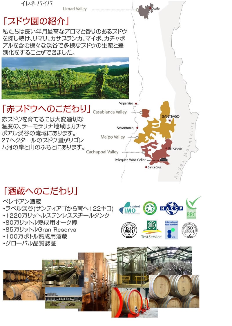 チリ産赤ワイン・ビスタマール・ブリーザ カベルネ・ソーヴィニヨン