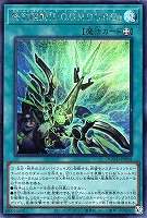 マシュマオ☆ヤミー【遊戯王トレカお買得価格通販：CBトレコロ】