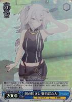 未来へ一緒に 戌神ころね【ヴァイスシュヴァルツトレカお買得価格通販