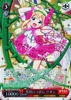 サイン一部あり ヴァイス ひなろじ ほぼフルホイル デッキ (おまけ付き