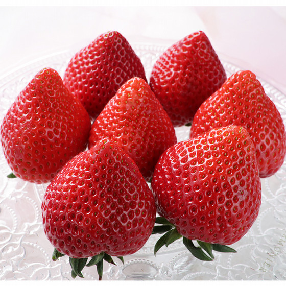 矢島農園］埼玉県産・彩のあまりん【送料込み】 - いちご