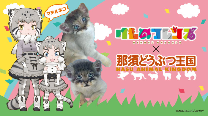 那須どうぶつ王国と「けものフレンズ」コラボ企画決定！ | まろに☆え