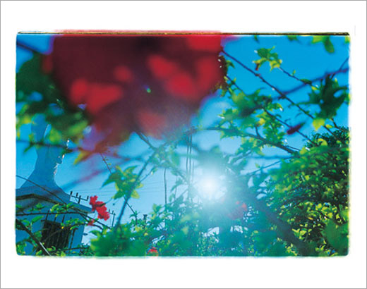 BABY BLUE SKY - 1BABY BLUE SKY - 1|蜷川実花Mika Ninagawa