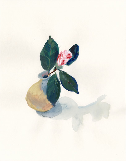 マルチカラーダブルフェイス (ホワイト)Multicolor Double Face