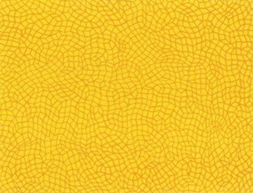 無限の網Infinity Nets|草間彌生Yayoi Kusama