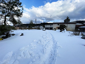 輪島塗の塗師屋 輪島漆器大雅堂（公式サイト）