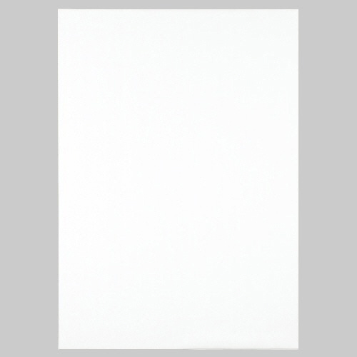たのめーる】TANOSEE 模造紙(プルタイプ) 本体 765×1085mm 無地