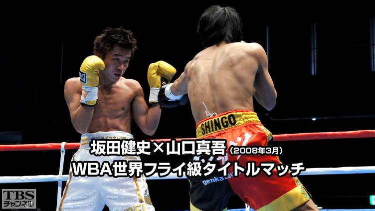 ボクシング ポスター 坂田健史×山口真吾 Boxing Poster サイン入り