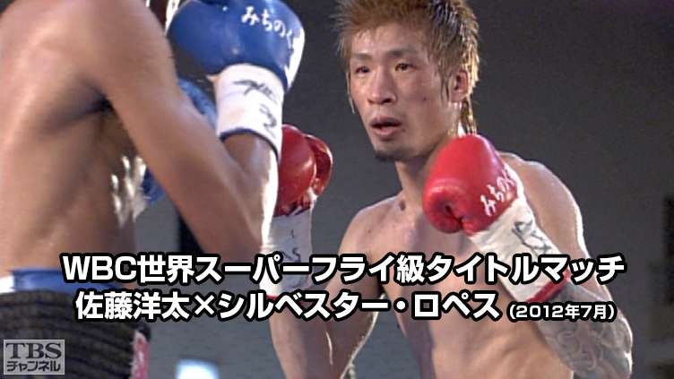 ボクシング WBC世界スーパーフライ級タイトルマッチ 佐藤洋太