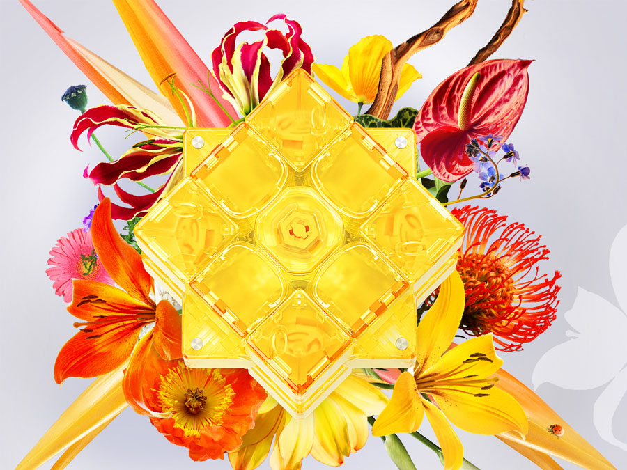 ジグソーパズル GAN11 M Pro Limited Edition Blooming triboxストア