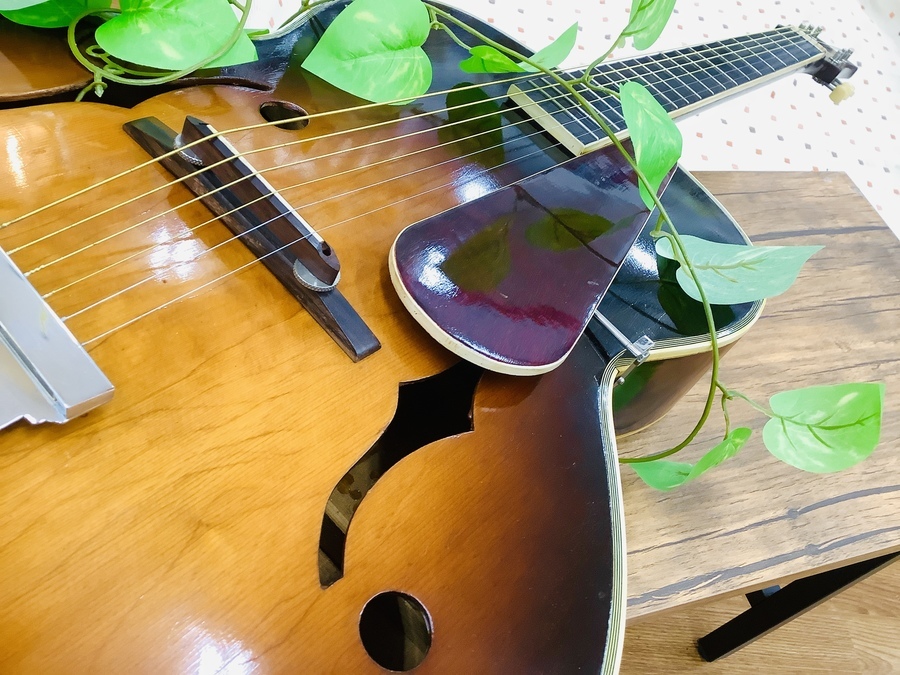 ヴィンテージ級の国産ギター！Nardan Guitar（ナルダンギター）が入荷