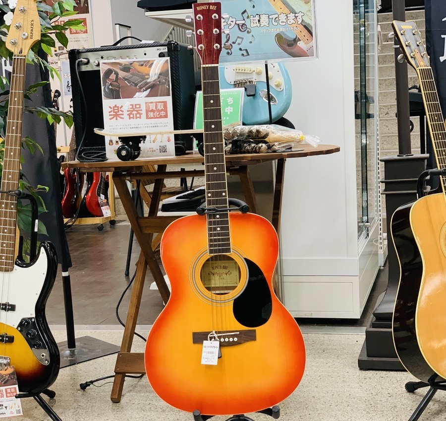 HONEY BEE 初心者入門セットF-15 HONEYBEE アコースティックギター F