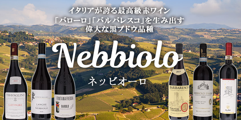 トスカニー イタリアワイン専門店 / イル パラジオ