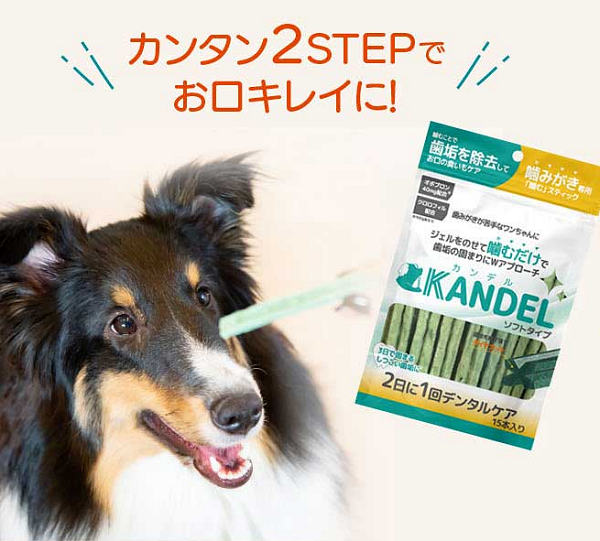 ドクターワンデルプロ⭐︎KANDE ミルク風味 15本入り デンタルケア⭐︎