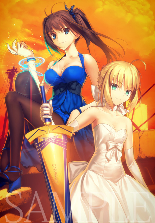 type-moon fes セイバー タペストリー from new world GOODS｜TYPE