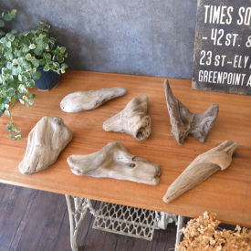 流木のかけらセット