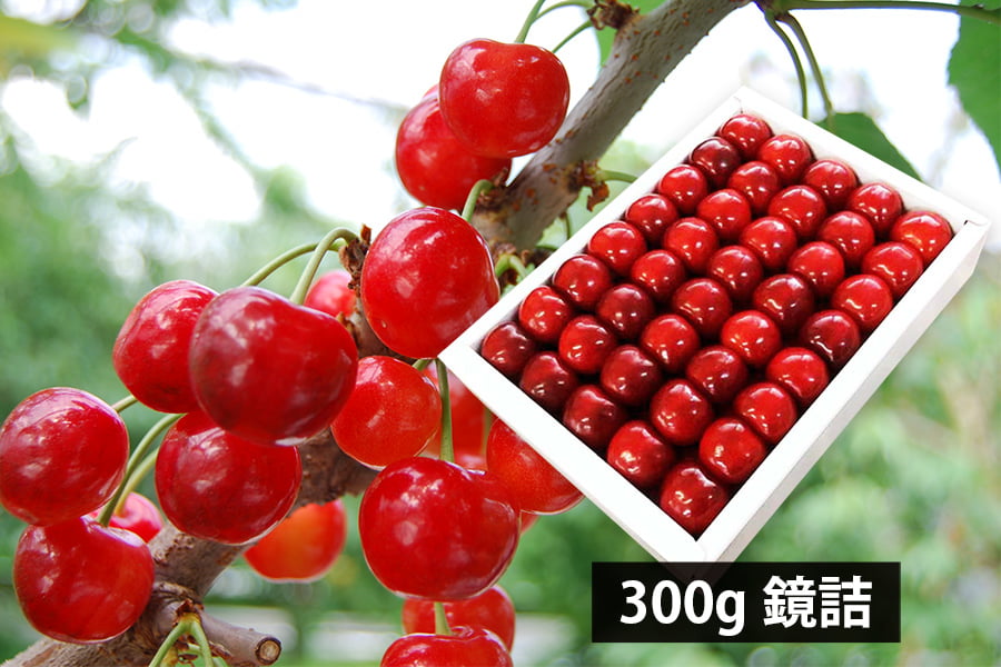 山形県産さくらんぼ紅秀峰300g鏡詰特秀2Lサイズ