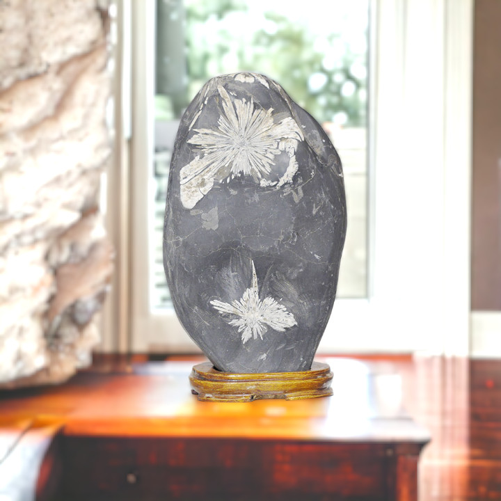 最高峰級に美しい菊模様の鑑賞石『菊花石』を紹介します！ │ 健康と