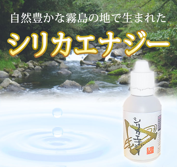 水溶性 ケイ素 シリカエナジー 濃縮溶液 50ml 割引 3本セット販売