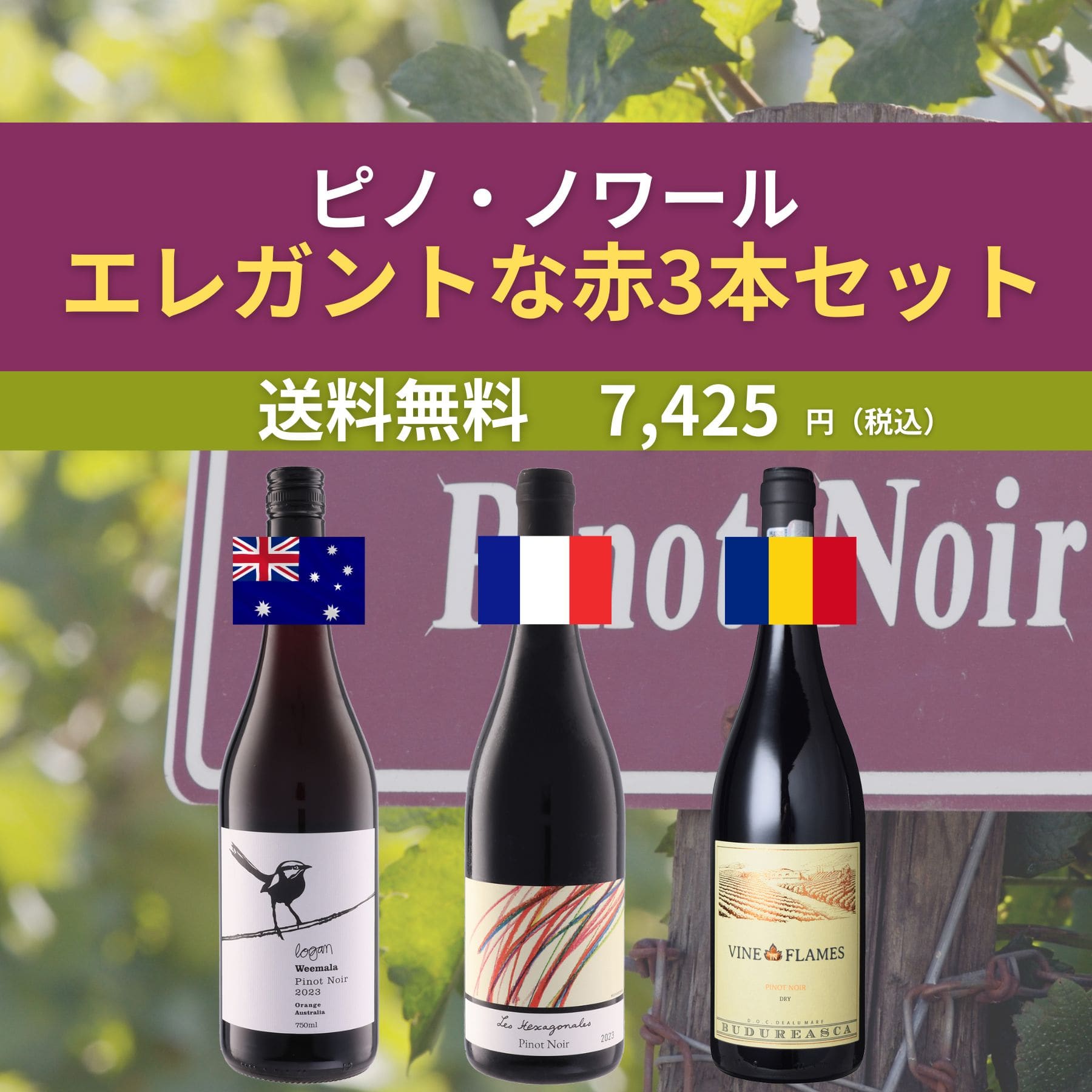 エレガントな赤ワイン3本セット ピノ・ノワール｜人気の飲み比べワイン