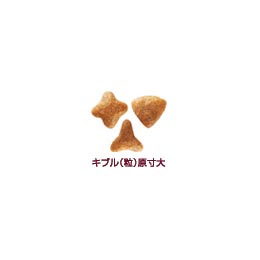 ロイヤルカナン センシブル 2kg | 通販