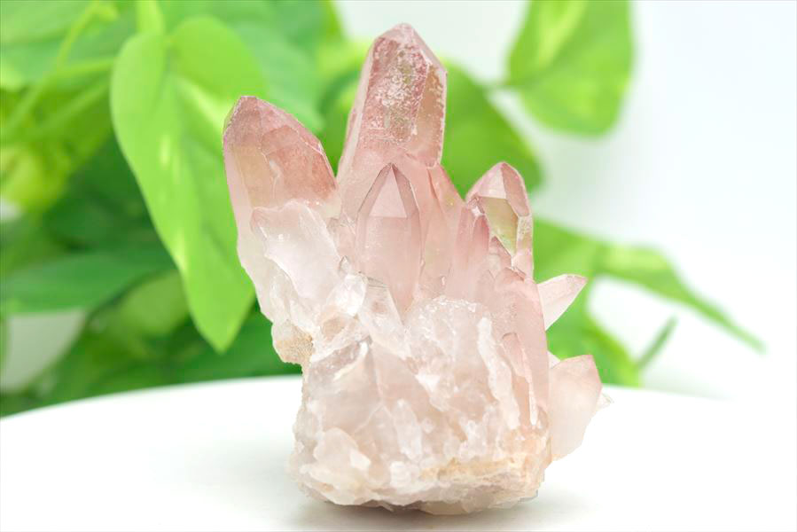 ダイヤモンド方解石入りレムリアンロゼットクォーツ モンドクォーツ