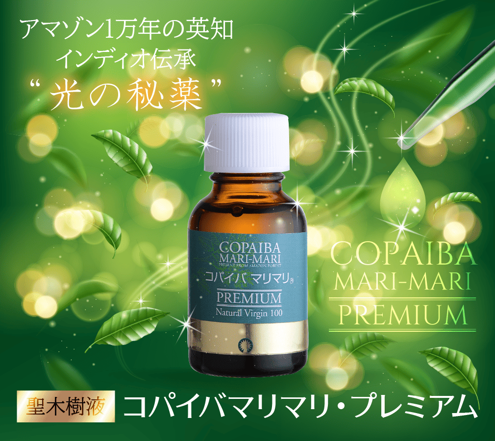 プラクルアン ナーンクワック LPブン師 神聖 メカパット 幸運の女神 御守り