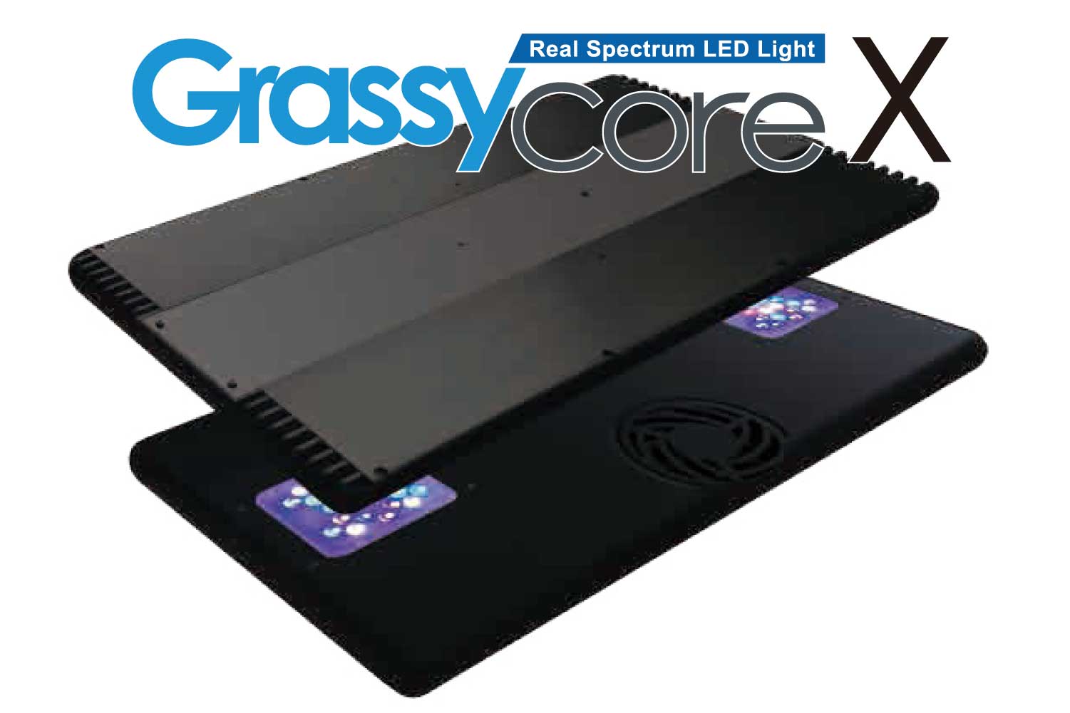 GrassyCore X200 /リーフ - ボルクスジャパン ダイレクト