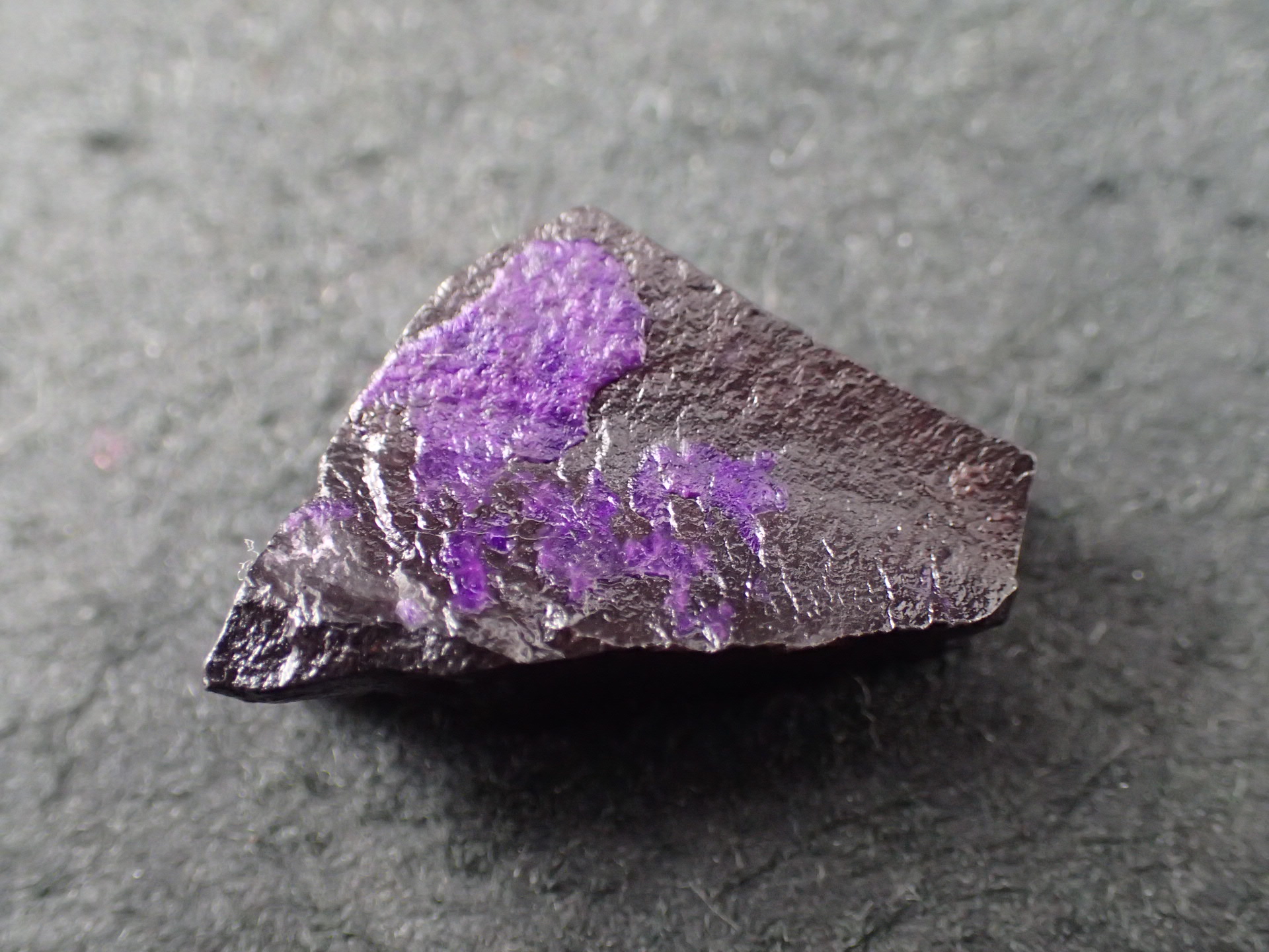 最高品質スギライト（杉石） Karahali Mn Field, Nortern Cape, South