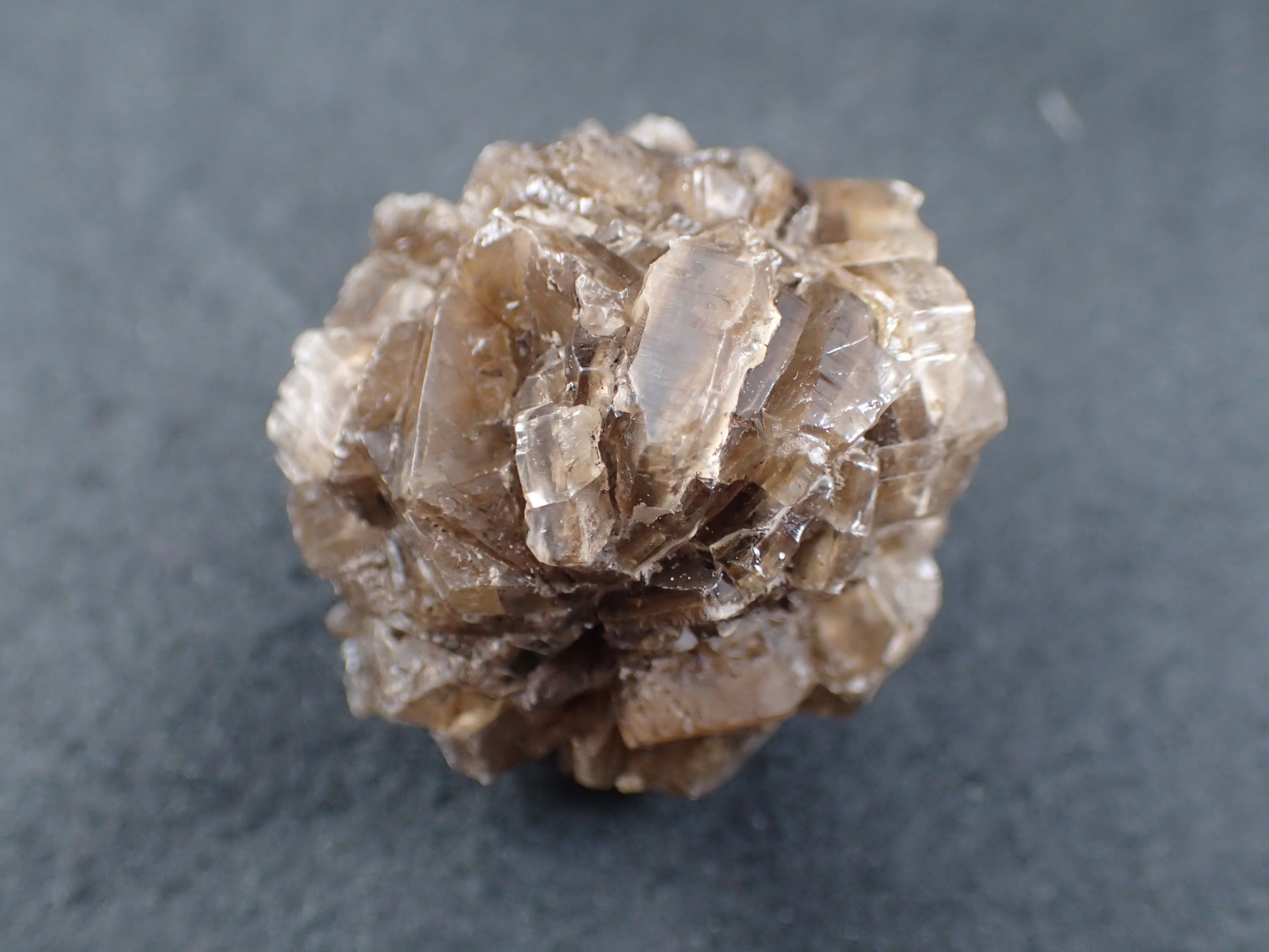 鉱物コレクション セレナイト（透石膏）群晶