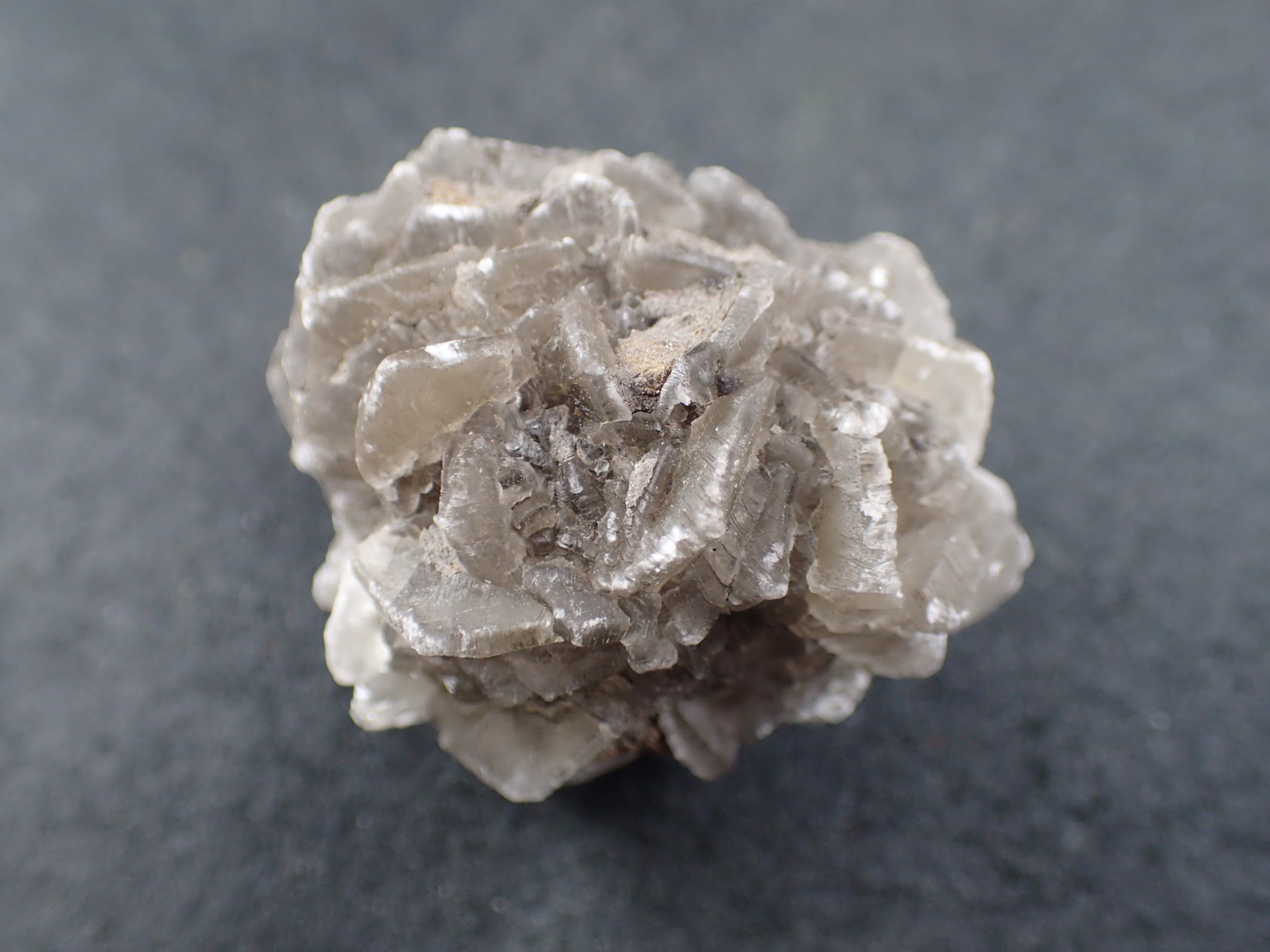 鉱物コレクション セレナイト（透石膏）群晶