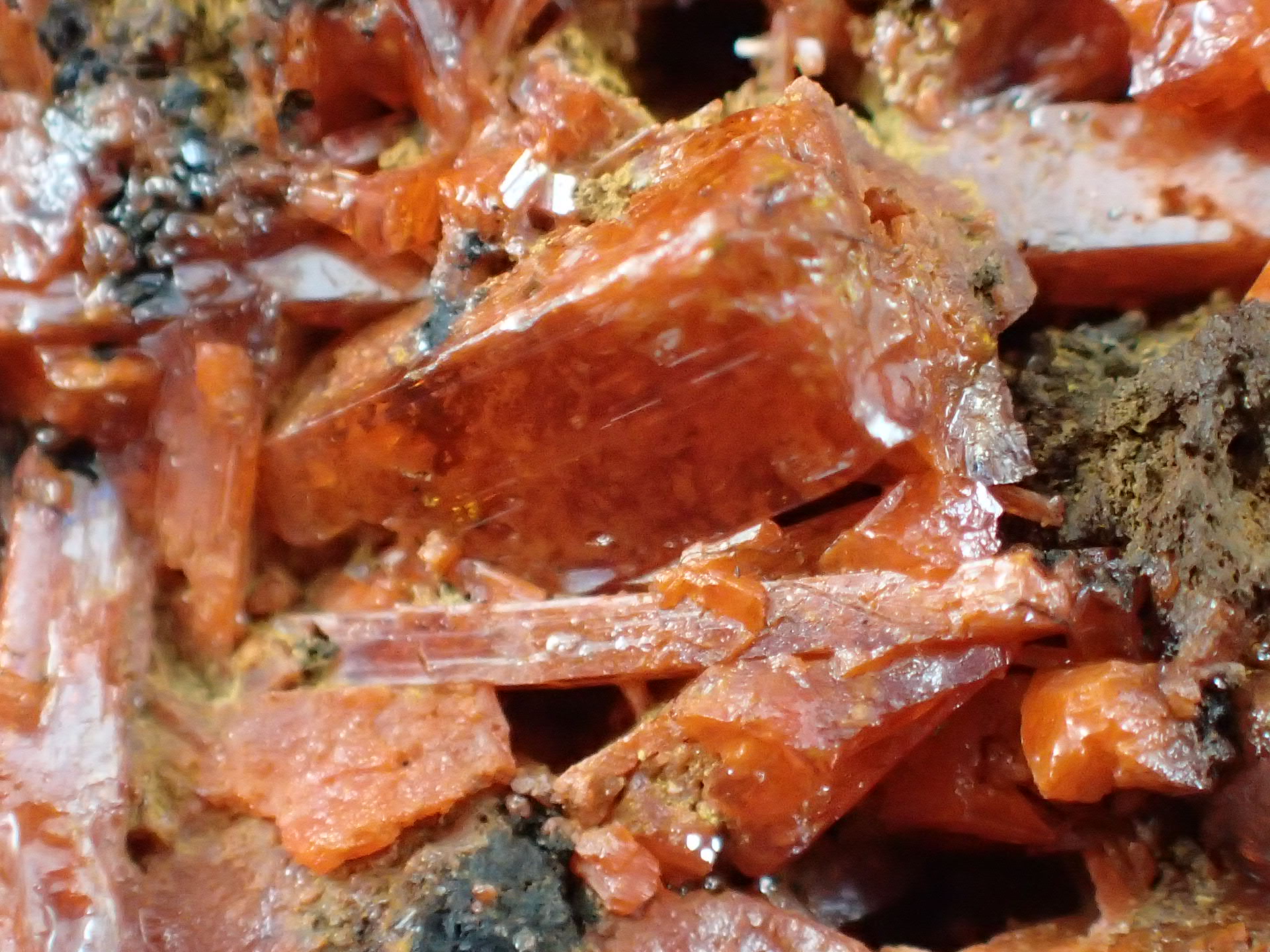 最高品質紅鉛鉱（(Crocoite)クロコアイト、PbCrO₄)) Adelaide Mine