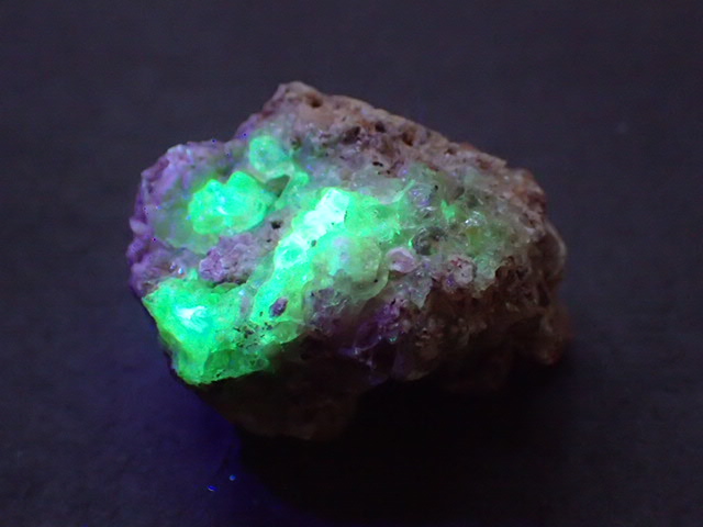 石のうえの静物 石のうえの静物 石のうえの静物 静物 - 東京国立近代美術館