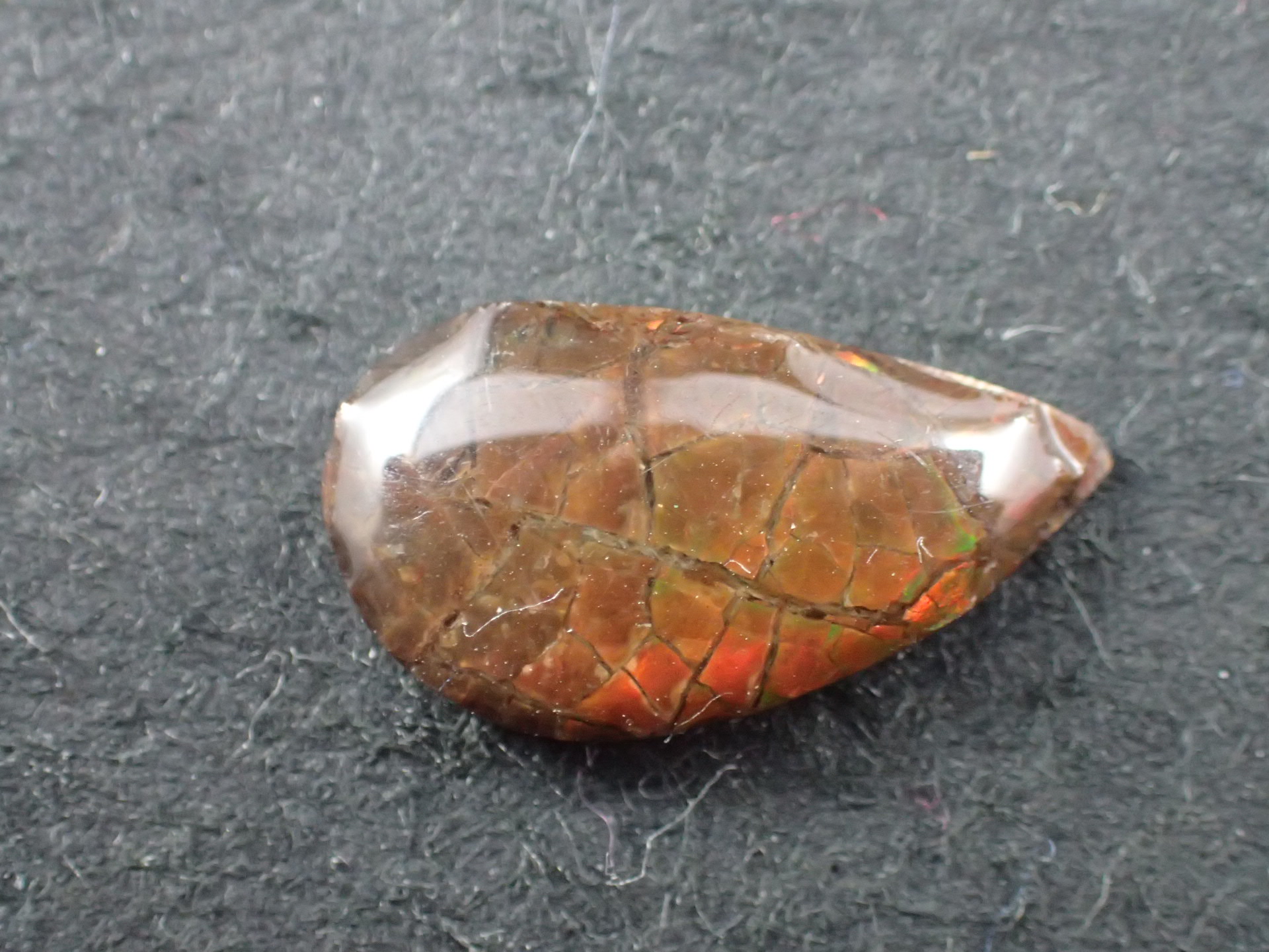 ルース ストーン ショップ アンモライト 枯渇22.45CT 約22x 18mm レア