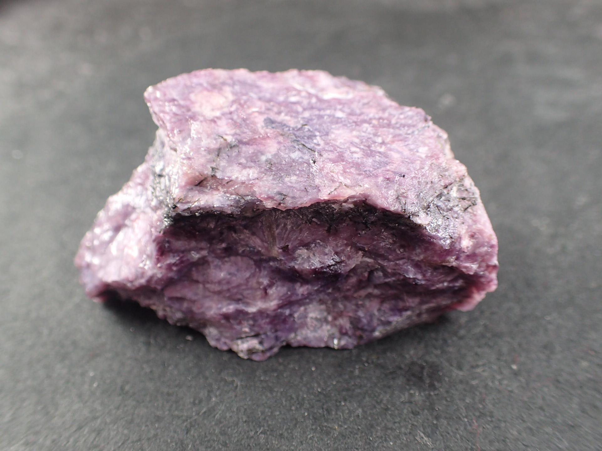 はくとん( 'ω')ŧ‹