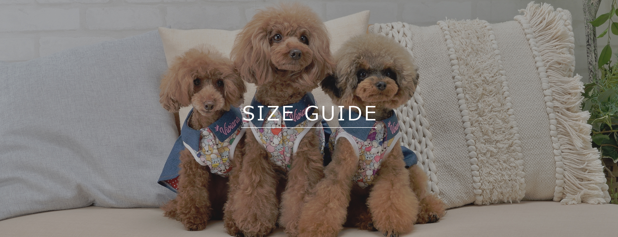 サイズガイド｜犬服・ドッグウェアブランド「VIVIANA（ヴィヴィアナ）」